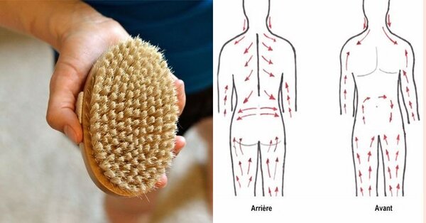 Brosse de Massage Corporel