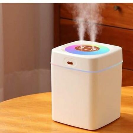 HUMIDIFICATEUR PORTACLE F20