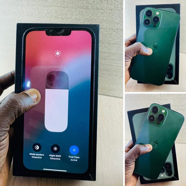 iPhone Pro Max Vert