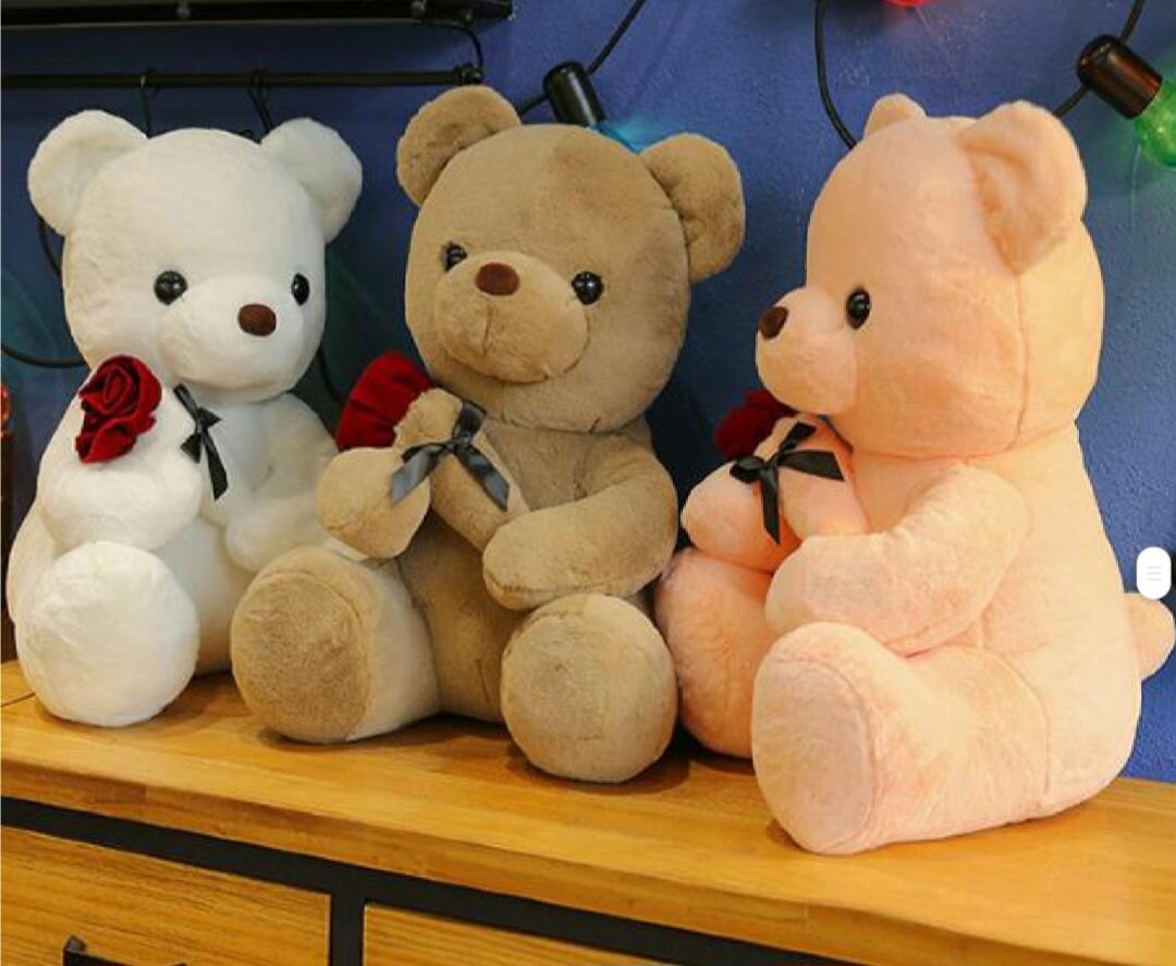 Ours en peluche
