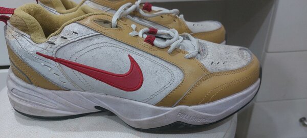Nike monarch
