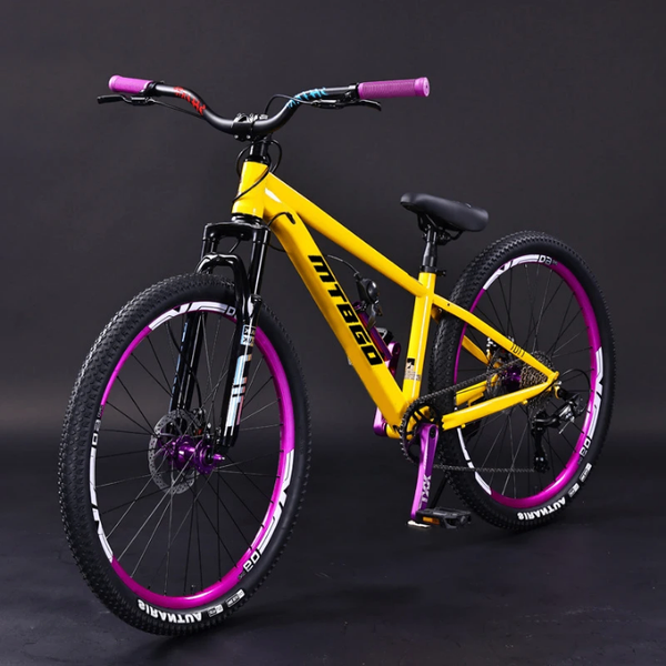 Vélo de montagne coloré