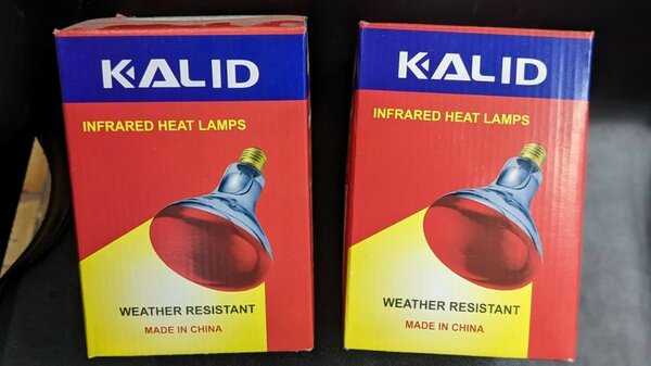 chicken lights