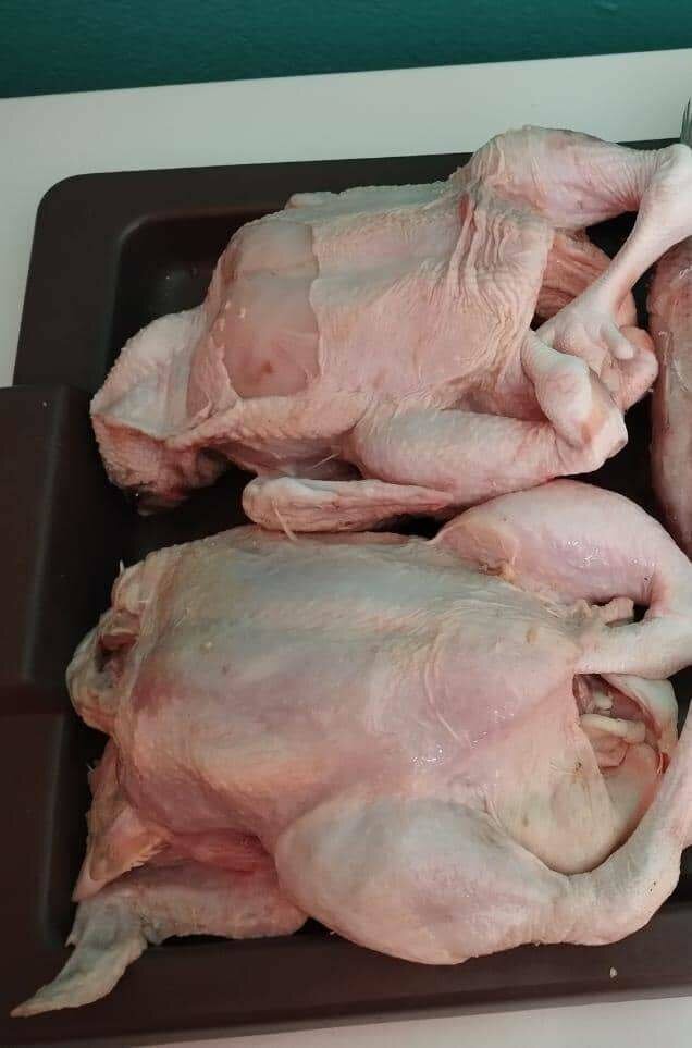 Poulets de chair