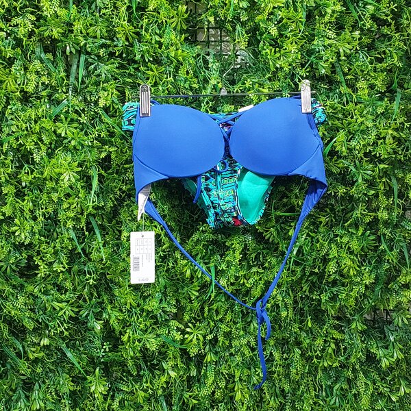 Bikini pant and brassier