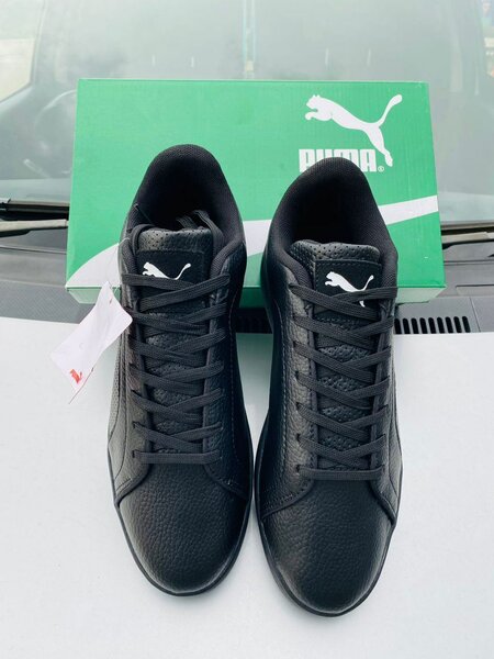Puma motorsport