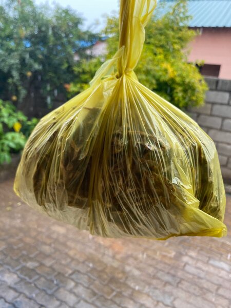 Mpulungu kapenta