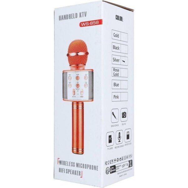 Karaoke micro