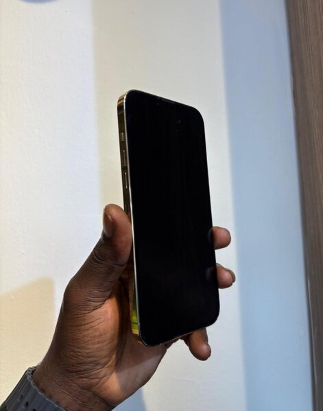 iPhone 13pro max