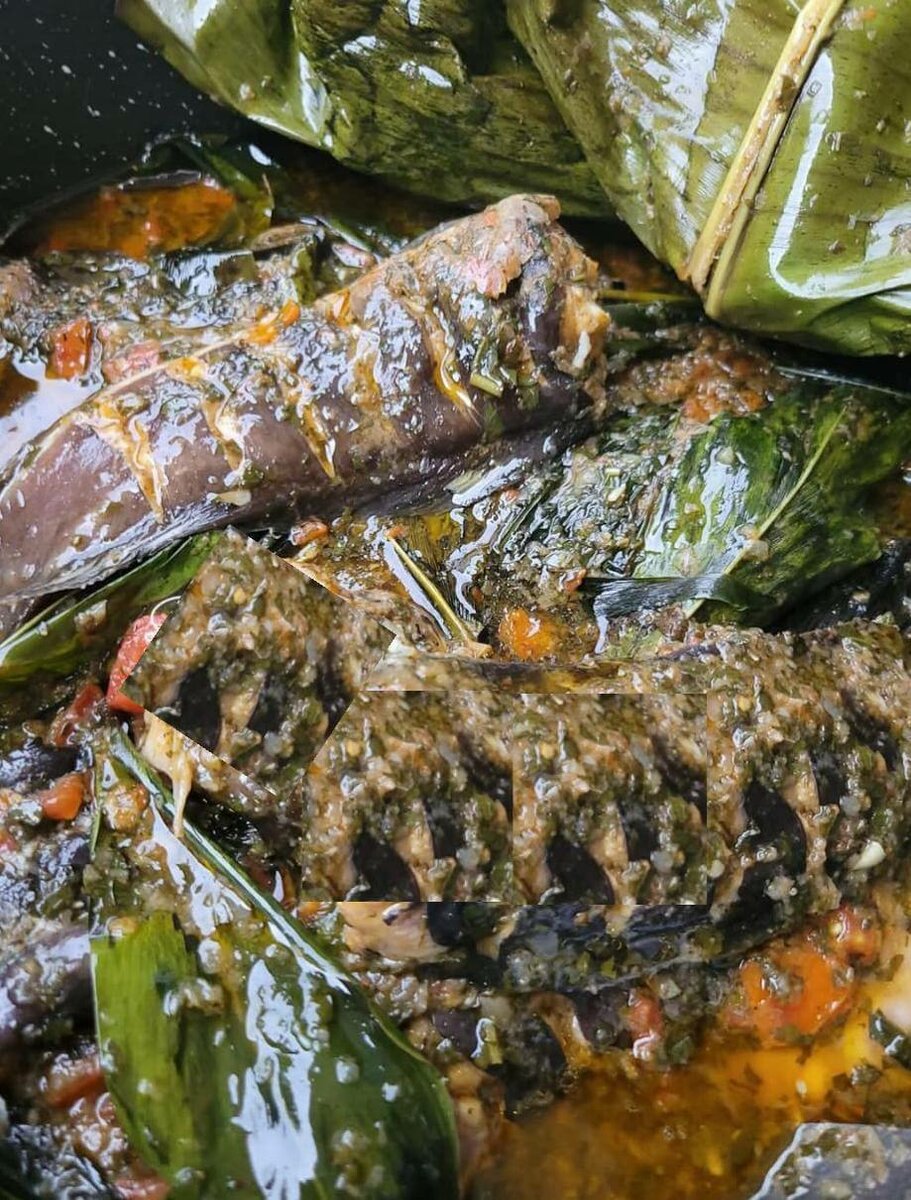 NDOMBA DE MACHOIRON