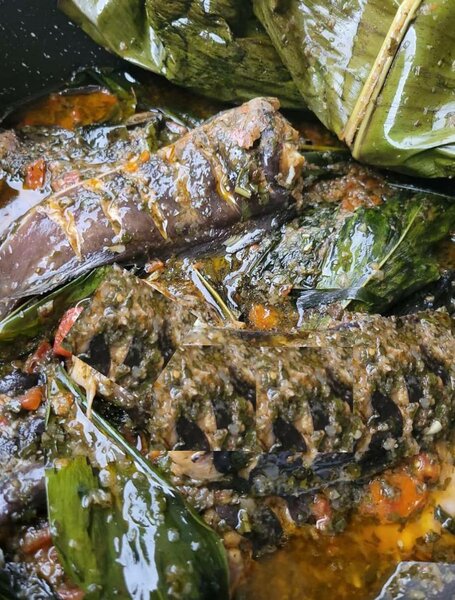 NDOMBA DE MACHOIRON