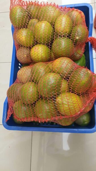 CITRON MEYER