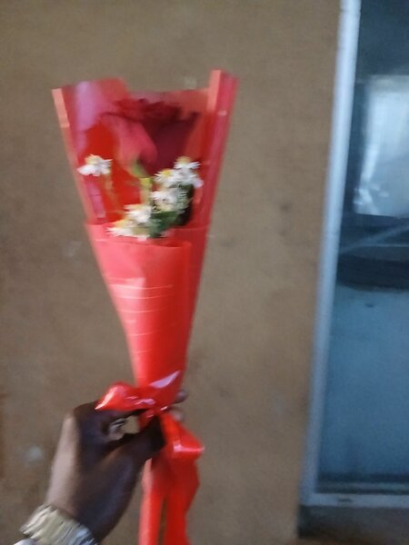 Rose naturelles