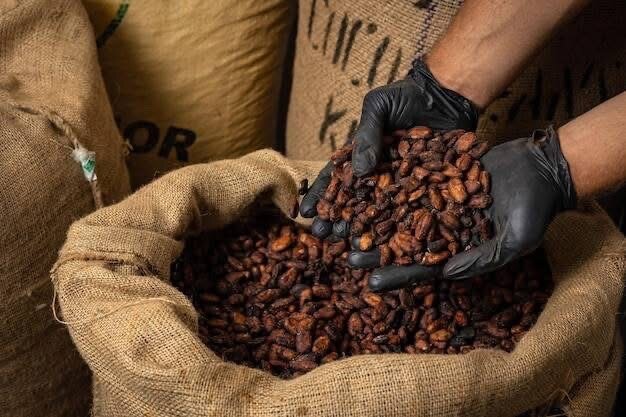 Chocolat bio 4BOITES