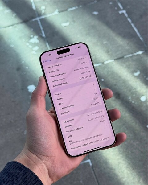  16 Pro Max