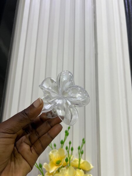 Claw clips