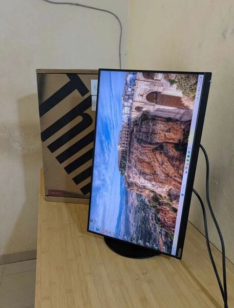 Écran Lenovo ThinkVision 24 pouces IPS