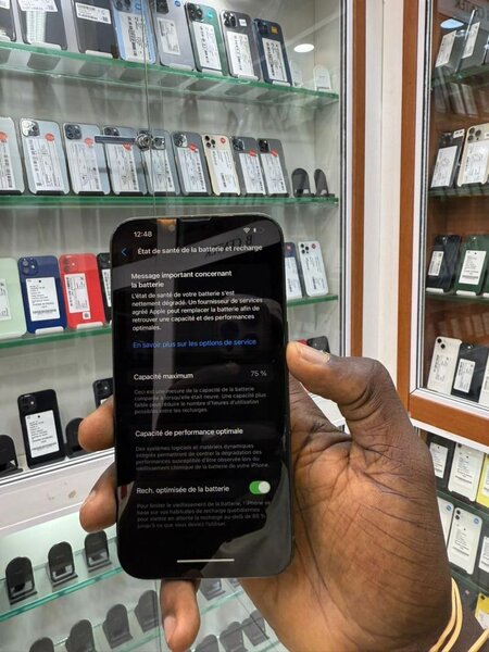 iPhone 13 vert