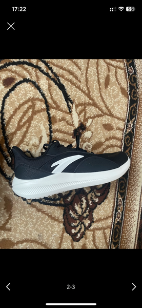 Ants Sport