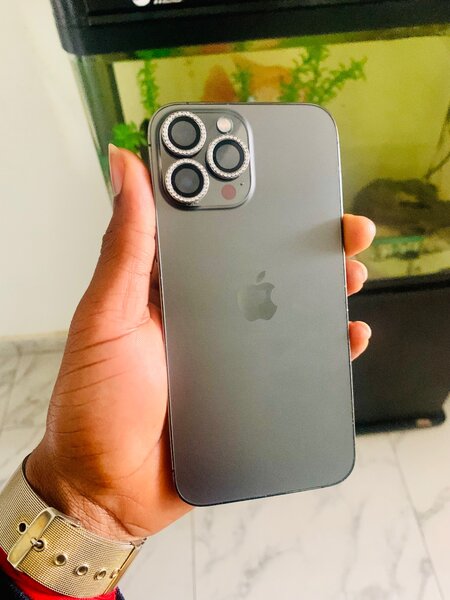 iPhone 13 Pro Max Gris
