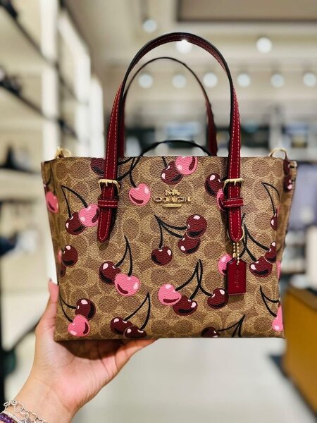 Ladies bag