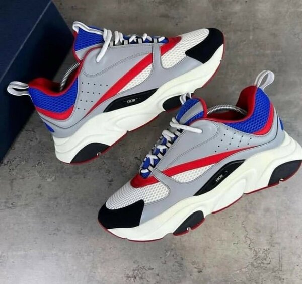 Dior sneakers