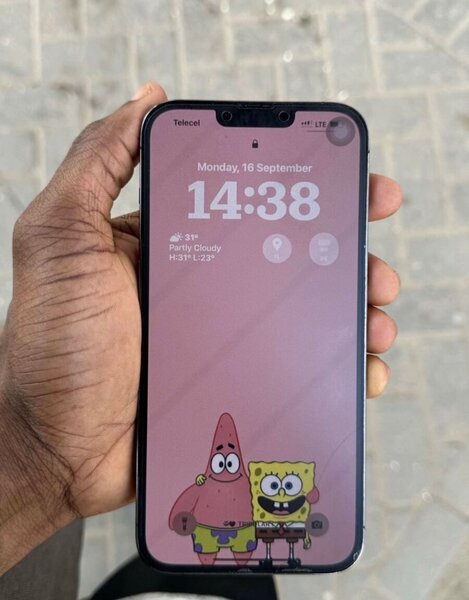 iPhone 13 Pro Max