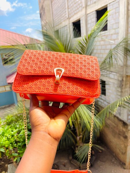 Ladies bag