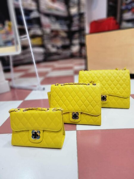 Ladies bag