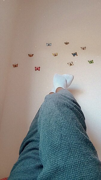 Wall butterflies