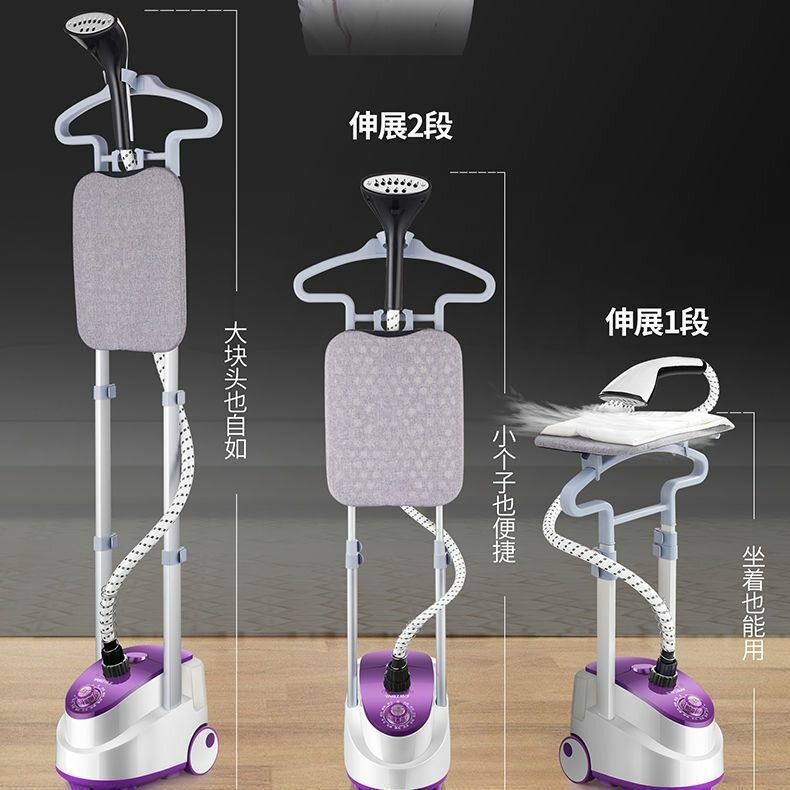 Steam iron