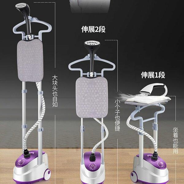 Steam iron
