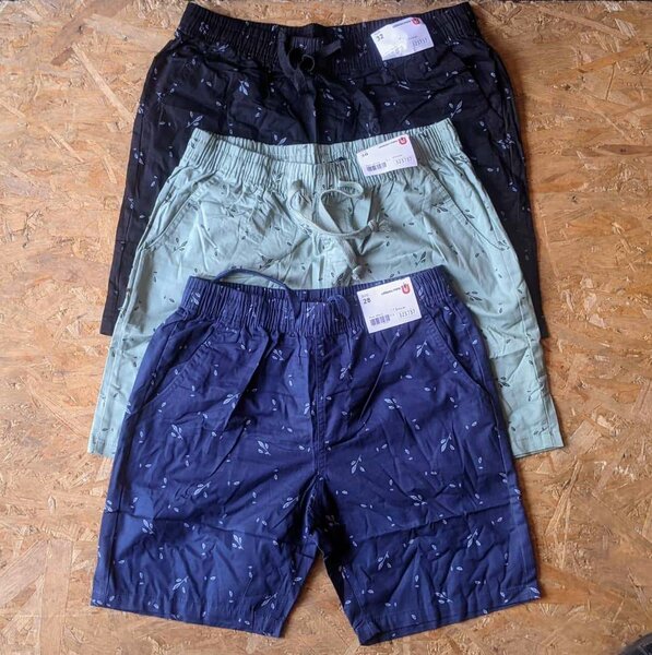 Summer Shorts