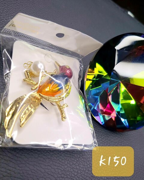 Jewelry brooch