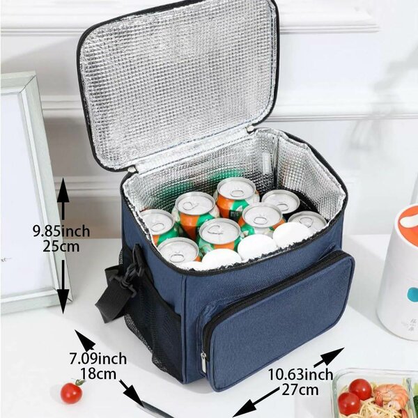 Insulated Lunch bag