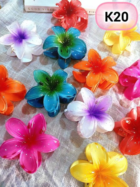 Hairclips