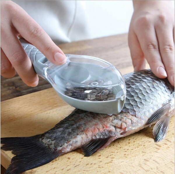 Écailleur à poisson