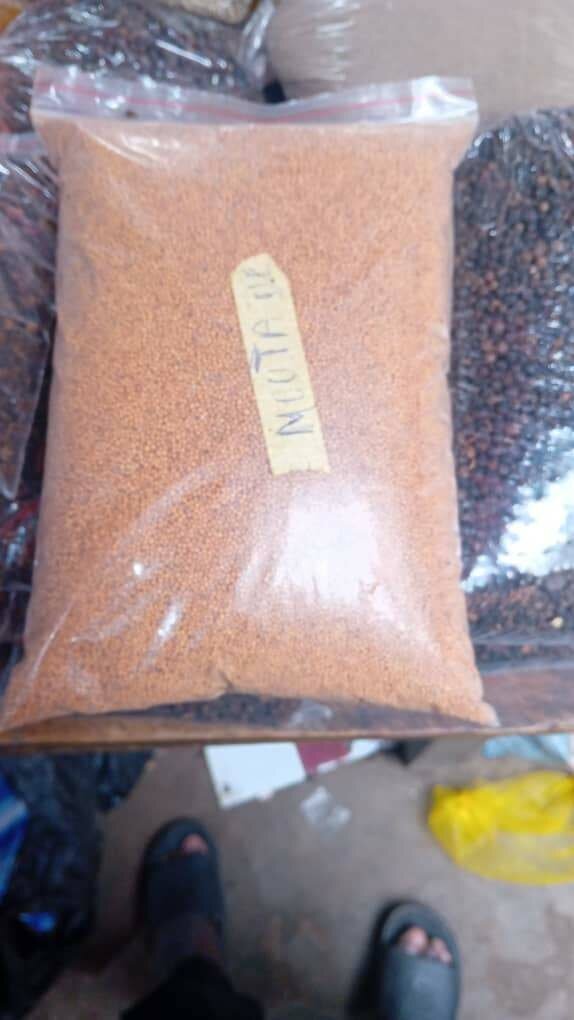 Graines de moutarde bio 1kg