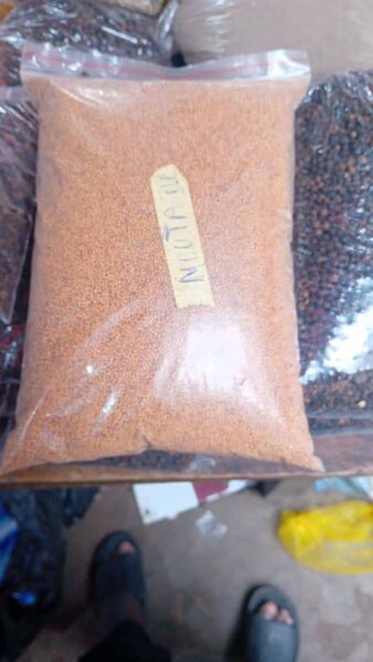Graines de moutarde bio 1kg