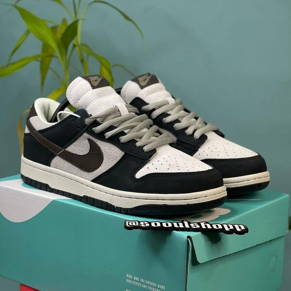 Nike air Jordan