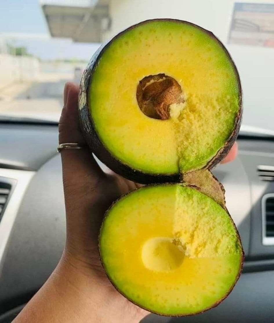 Huile pur d'avocat