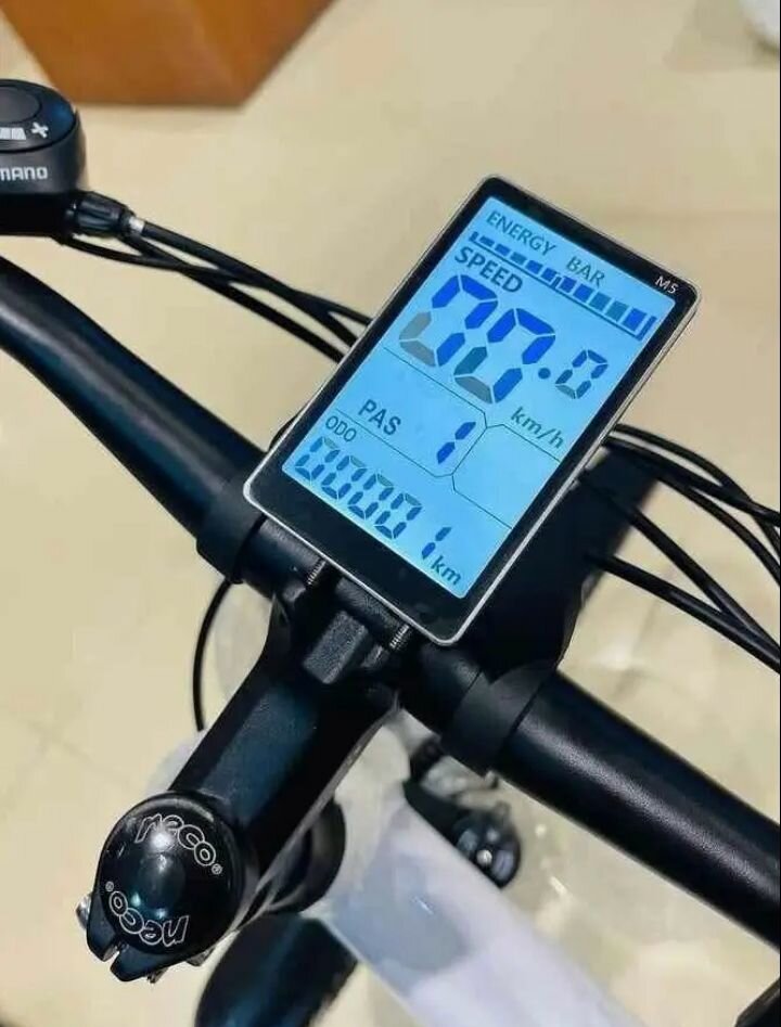 Vélo adulte