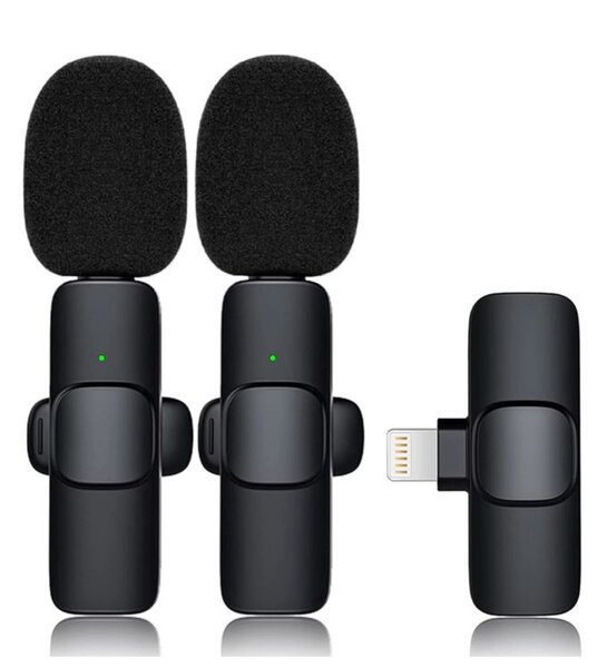 Mini microphone