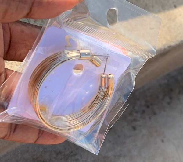 Earrings