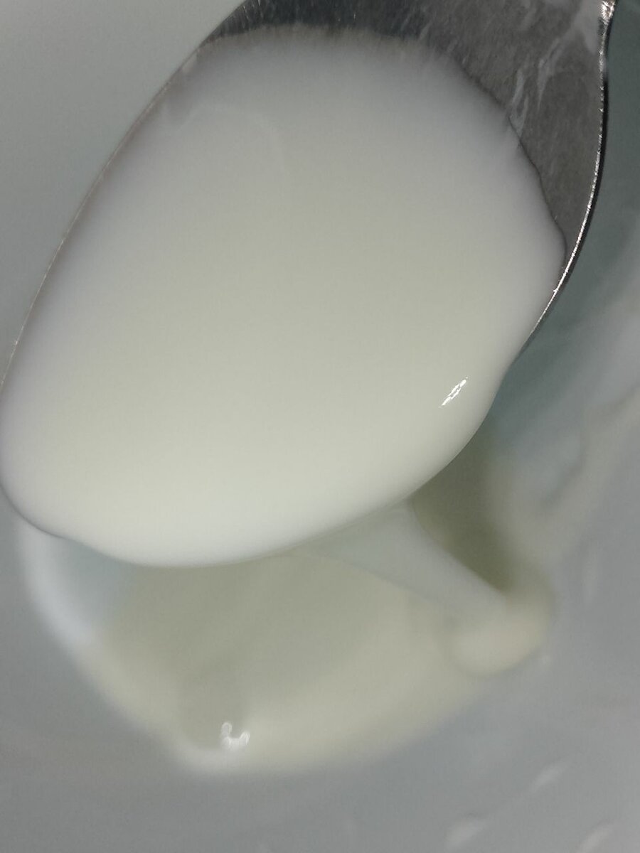 Lait caillé ou dêguê