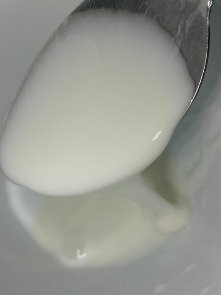 Lait caillé ou dêguê
