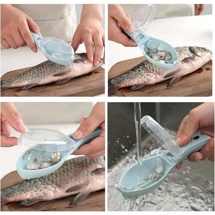 Grattoir écaille de poisson