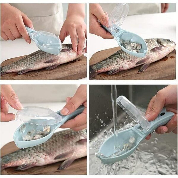 Grattoir écaille de poisson