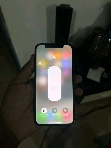 iPhone 12Pro - 256 Go, Bleu