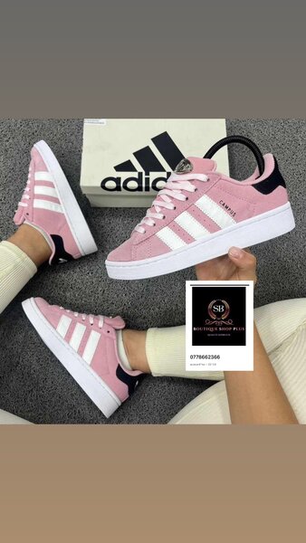 BASKET ADIDAS campus authentique avec sa boîte